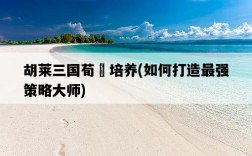 胡萊三國荀彧培養，如何打造最強策略大師