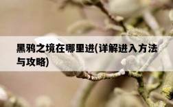 黑鴉之境在哪里進，詳解進入方法與攻略