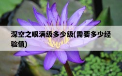 深空之眼滿級多少級，需要多少經驗值