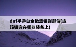dnf手游白金徽章鑲嵌部位，應該鑲嵌在哪些裝備上