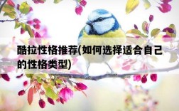 酷拉性格推薦，如何選擇適合自己的性格類型