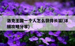 洛克王國一個人怎么獲得長笛，詳細攻略分享