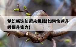 夢幻新誅仙遲來機緣，如何快速升級提升實力