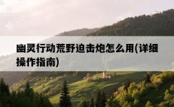 幽靈行動荒野迫擊炮怎么用，詳細操作指南