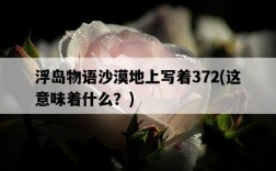 浮島物語沙漠地上寫著372，這意味著什么？