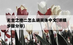 無主之地二怎么調簡體中文，詳細步驟分享