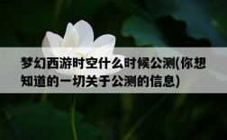 夢幻西游時空什么時候公測，你想知道的一切關于公測的信息