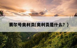 賽爾號奧利貢，奧利貢是什么？