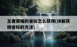 王者榮耀的省標怎么獲得，詳解獲得省標的方法