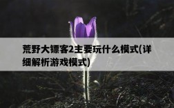 荒野大鏢客2主要玩什么模式，詳細解析游戲模式