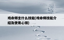 戲命師主什么技能，戲命師技能介紹及使用心得