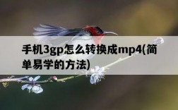 手機3gp怎么轉換成mp4，簡單易學的方法