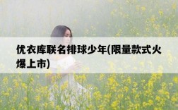 優衣庫聯名排球少年，限量款式火爆上市