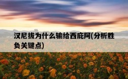 漢尼拔為什么輸給西庇阿，分析勝負關鍵點