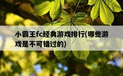 小霸王fc經典游戲排行，哪些游戲是不可錯過的