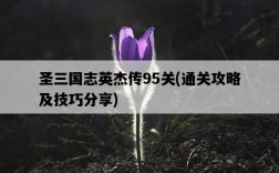 圣三國志英杰傳95關，通關攻略及技巧分享