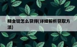 精金錠怎么獲得，詳細解析獲取方法