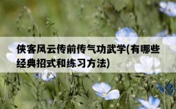 俠客風云傳前傳氣功武學，有哪些經典招式和練習方法