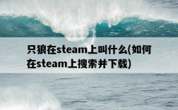 只狼在steam上叫什么，如何在steam上搜索并下載