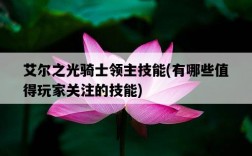 艾爾之光騎士領主技能，有哪些值得玩家關注的技能