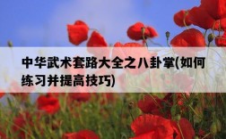中華武術套路大全之八卦掌，如何練習并提高技巧