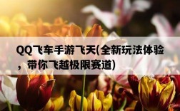 QQ飛車手游飛天，全新玩法體驗，帶你飛越極限賽道