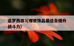 造夢西游3，哪些飾品最適合提升戰斗力