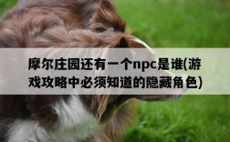 摩爾莊園還有一個npc是誰，游戲攻略中必須知道的隱藏角色