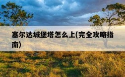 塞爾達城堡塔怎么上，完全攻略指南