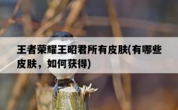 王者榮耀王昭君所有皮膚，有哪些皮膚，如何獲得