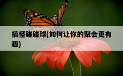 搞怪碰碰球，如何讓你的聚會更有趣