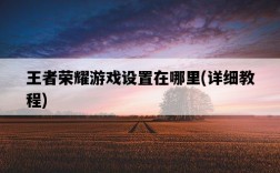 王者榮耀游戲設置在哪里，詳細教程