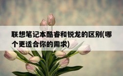 聯想筆記本酷睿和銳龍的區別，哪個更適合你的需求