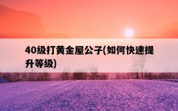40級打黃金屋公子，如何快速提升等級