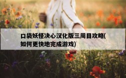 口袋妖怪決心漢化版三周目攻略，如何更快地完成游戲