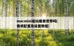 macmini能玩魔獸世界嗎，需求配置及設置教程
