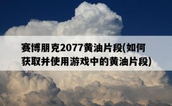 賽博朋克2077黃油片段，如何獲取并使用游戲中的黃油片段