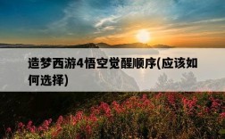 造夢西游4悟空覺醒順序，應該如何選擇