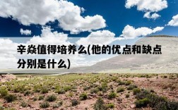 辛焱值得培養么，他的優點和缺點分別是什么