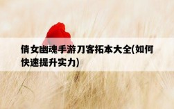 倩女幽魂手游刀客拓本大全，如何快速提升實力