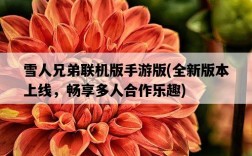 雪人兄弟聯機版手游版，全新版本上線，暢享多人合作樂趣