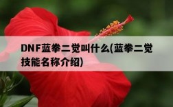 DNF藍拳二覺叫什么，藍拳二覺技能名稱介紹