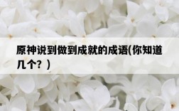原神說到做到成就的成語，你知道幾個？