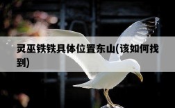 靈巫鐵鐵具體位置東山，該如何找到