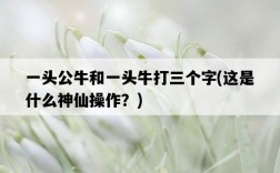 一頭公牛和一頭牛打三個字，這是什么神仙操作？