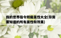 我的世界指令附魔屬性大全，你需要知道的所有屬性和效果