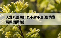 天龍八部為什么不封小蜜，劇情發展原因揭秘