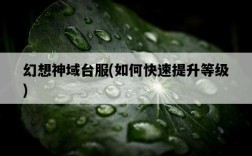 幻想神域臺服，如何快速提升等級