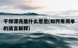 干得漂亮是什么意思，如何用簡單的語言解釋