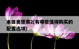 本田奧德賽2，有哪些值得購買的配置選項